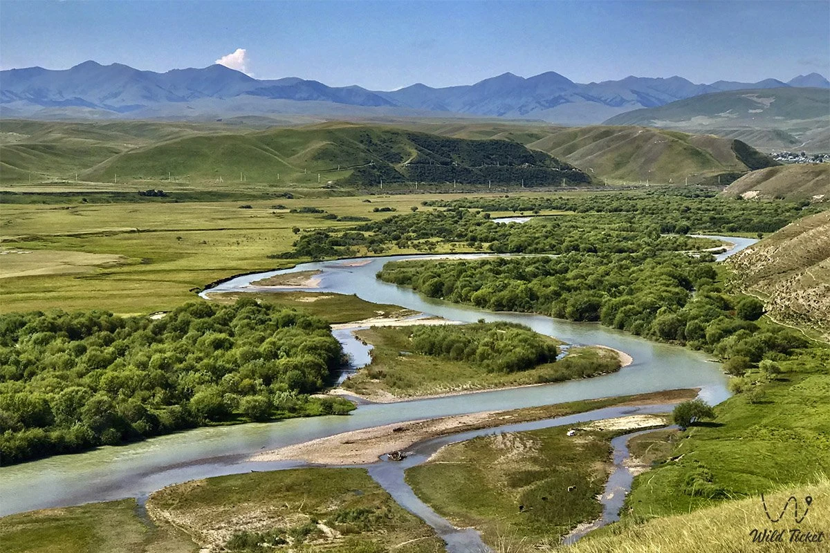 Река и окружающий пейзаж